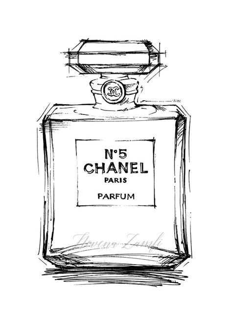 drawing perfume bottle chanel|Chanel no 5 sketch.